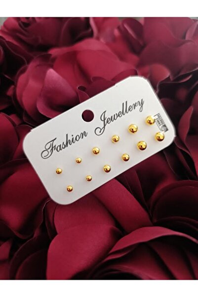 MutluBiDünya 12 Adet Küpe Piercing Çok Amaçlı Ürün