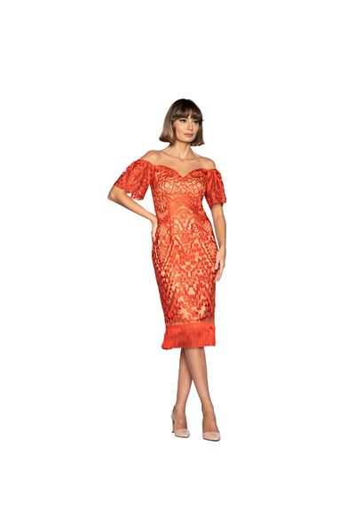 XARA Occasion Lace Pencil Dress