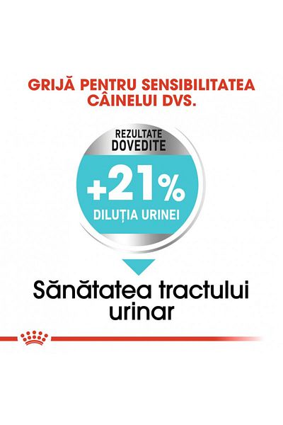 Royal Canin Hrană uscată Mini Urinary Care pentru câini de talie mică, pentru sănătatea tractului urinar, 1 kg