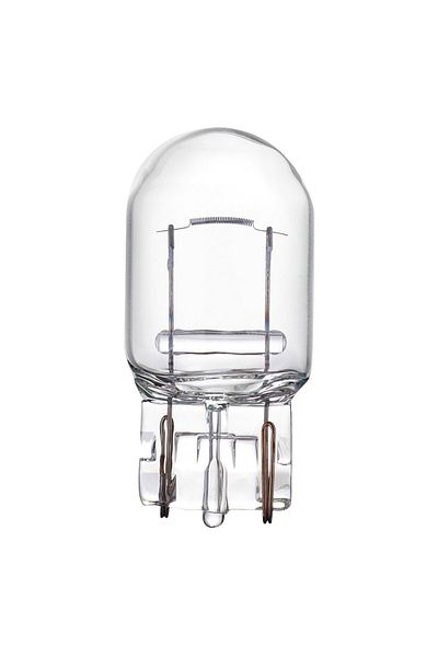 JollyMag Set of 10 halogen bulbs T20, W21W, W3x16d, 12V