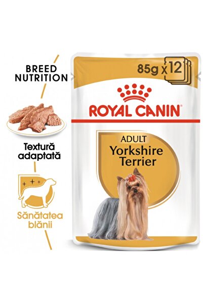 Royal Canin Hrană umedă pentru câini Royal Canin Yorkshire Terrier Adult, 12 x 85 g