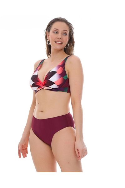 hazelin Women's Burgundy Multicolor High Waist Lined Bikini Set Hzl25S-Lc22315