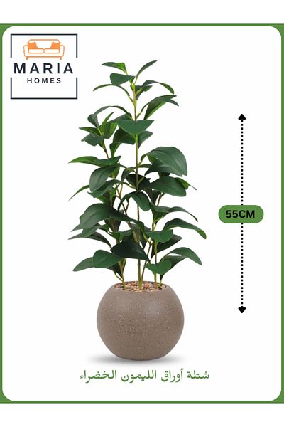 MARIA HOMES Artificial Lemon Leaf Plant 55 cm – Decorative Indoor Greenery with Brown Pot