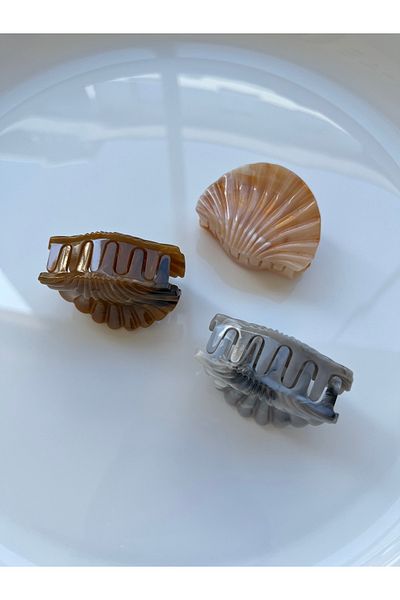 Twinssis Accessories 3 Pieces Mini Seashell Mussel Peg Buckle