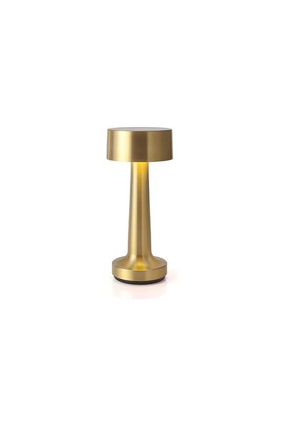 ETRONIK Modern Rechargeable Cordless Touch Sensor LEDDesk lamp 3 WaysDimming,withUSB Cord for Bedside (GOLD)