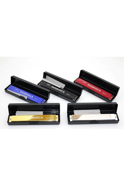 doremodam Metal Harmonica Large Alk1360 - Lisinya