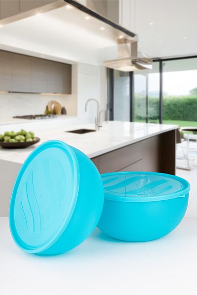 Lizzy 2 Liter 6 Lt Tupper Model Storage Container Basin, Dough Kneading Soft Leakproof Lid