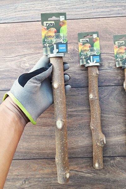 Vixpet Venty 3-Piece Natural Parrot Perch Set | Jako, Amazon, Eclectus, Kayak, Alexander, Conure - M512