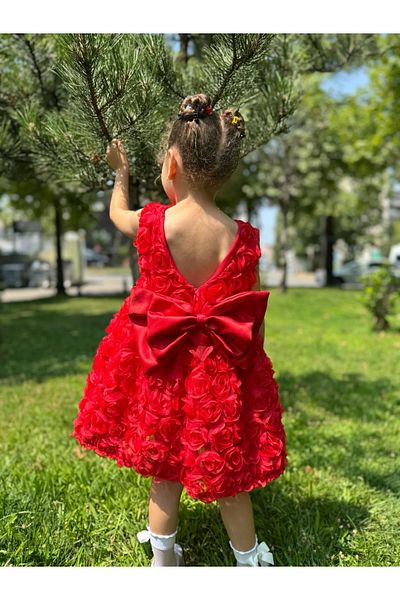 Minizade Baby Girl Kid's Short Sleeve Rose Back Detail Bow Special Occasion Birthday Party Wedding Dress