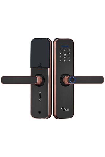 LOZAN Platinum Smart Door Handle