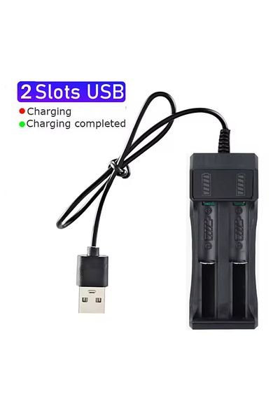 Dolide Small battery charger (2 inputs) of various types