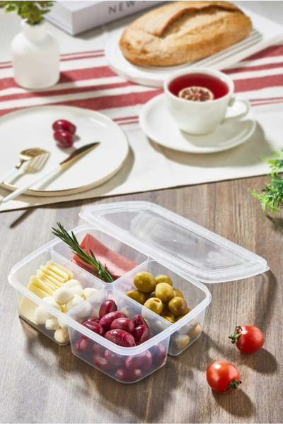 WAPPA 1Pc 4 Compartments 1000ml Vegetable Chicken Meat Container Refrigerator Organizer Storage Box