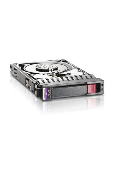 HP Enterprise 300GB SAS 15K 6G LFF SCC DS, P05393-001
