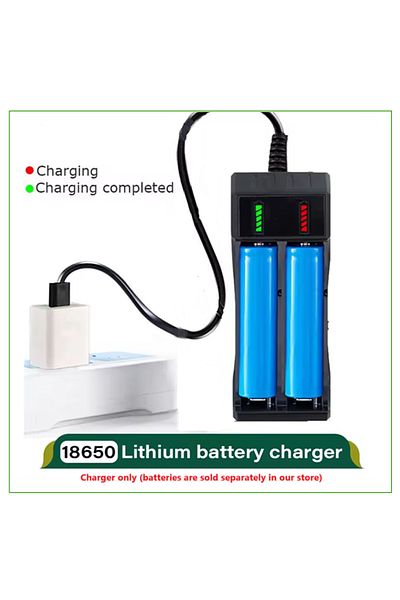Dolide Small battery charger (2 inputs) of various types