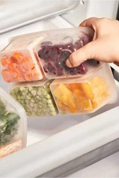 WAPPA 1Pc 4 Compartments 1000ml Vegetable Chicken Meat Container Refrigerator Organizer Storage Box