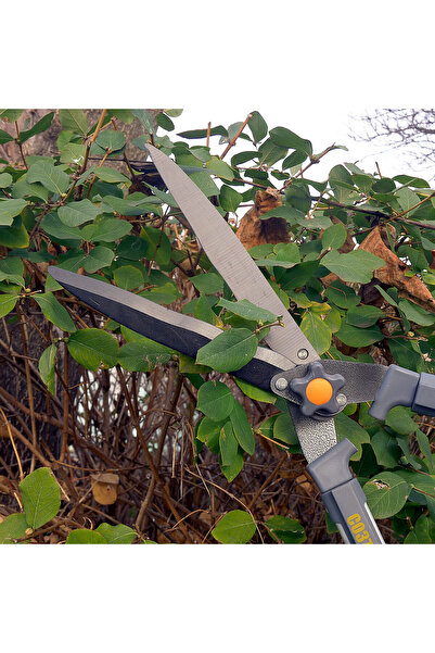 richmann exclusive Hedge trimmer, shrubs, bypass type, teflon-coated blade, telescopic handle 71-83 cm, Richmann Excludes