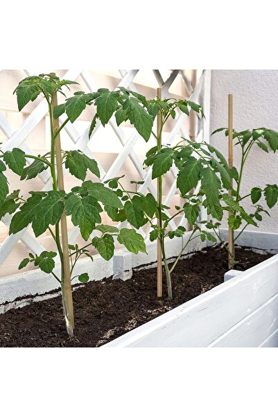 genric FFD Natural Bamboo Plant Stakes – 10pcs 100cm Garden Support Sticks for Indoor & Outdoor Plant