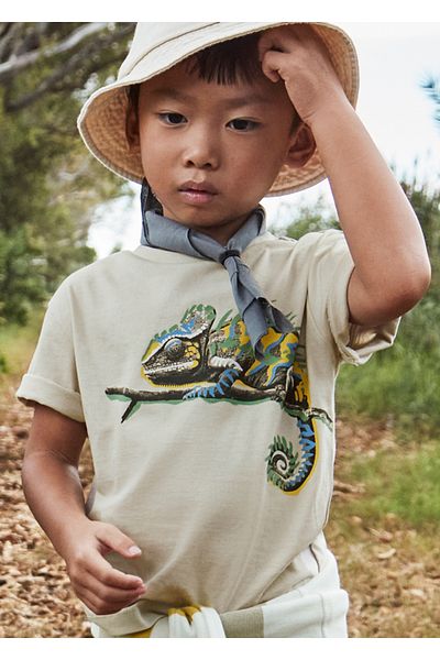 MAYORAL 04-10 Years Boy Green-Beige Shorts Suit - Gray/Green
