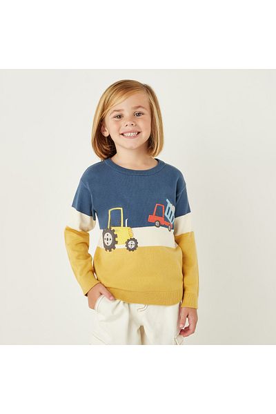 Juniors Vehicle Embroidered Pullover with Round Neck and Long Sleeves
