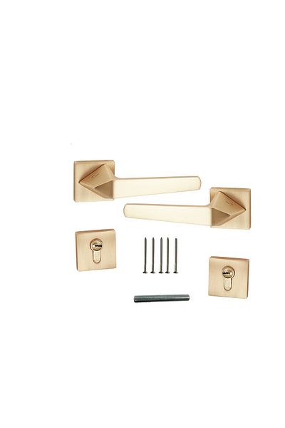 LOZAN Gold hinged door handle