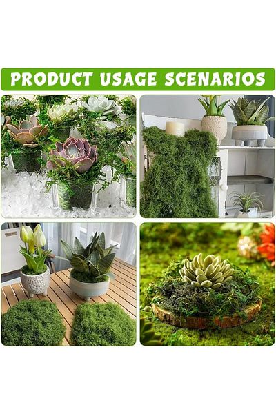genric FFD 400g Artificial Moss Green Grass for Centerpieces, Home & Garden Decor – Decorative Faux Moss
