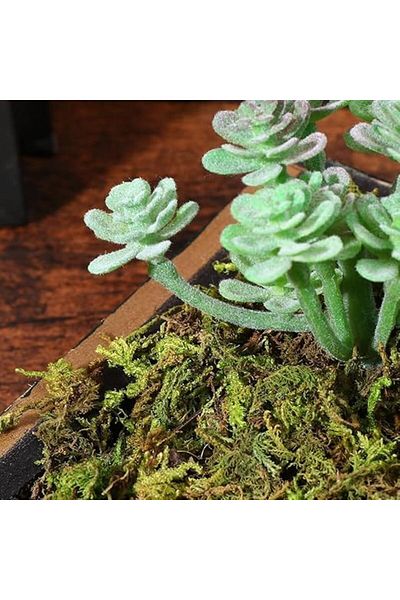genric FFD 800g Artificial Moss Green Grass for Centerpieces, Home & Garden Decor – Decorative Faux Moss