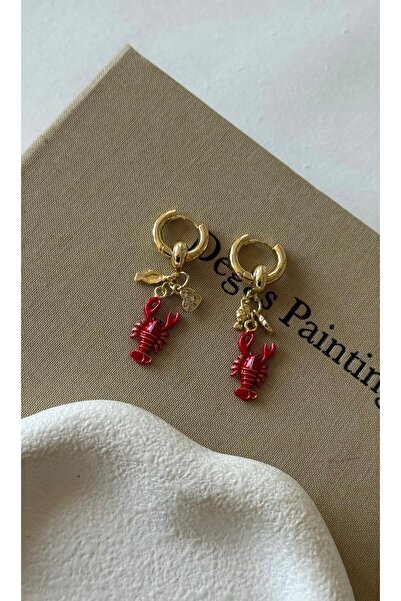 AychaAksesuar Small Heart Earrings with Steel Red Scorpion Object