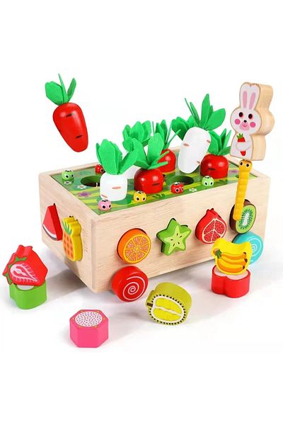 Picodino Masinuta cu morcovi pentru motricitate, sortator forme fructe si pescuit magnetic Carrot Orchard