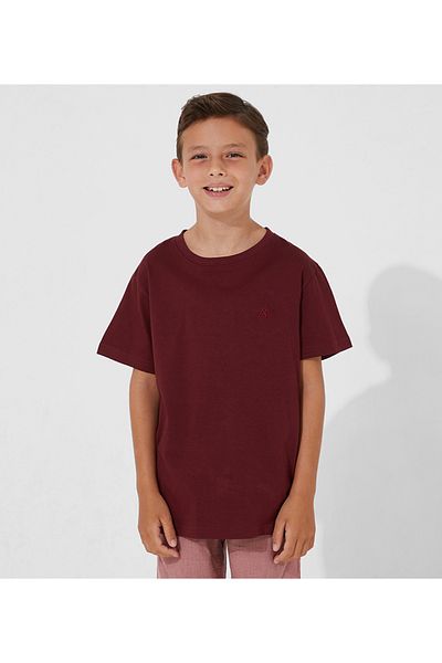 Aeropostale Aero Kids Boys Pack of 5 Short sleeves tshirt