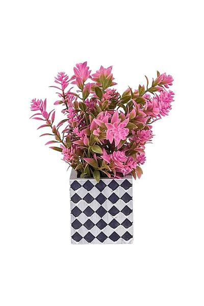 OEM Ghiveci cu planta ornamentala din plastic, 10x20 cm, roz-multicolor