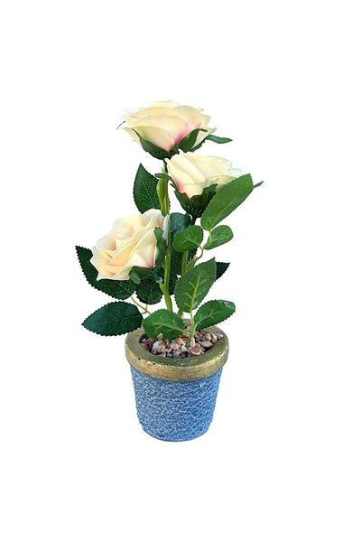 OEM Ghiveci cu flori, 3 Trandafiri, 9x27cm, Multicolor, M2