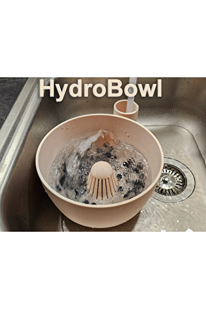 3D وعاء غسل وشطف الفاكهة