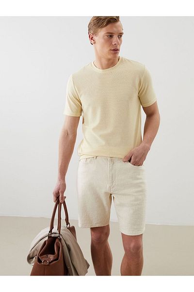 LC Waikiki Lcwaikiki classic crew neck short sleeve men's textured t-shirt
