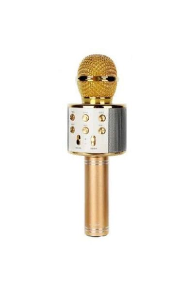 OEM Microfon karaoke wireless profesional cu Bluetooth, difuzor, radio FM, USB TF, înregistrare sunet