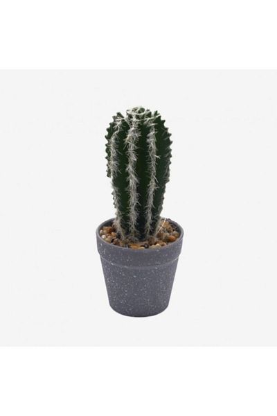 OEM Cactus in ghiveci, pvc/ceramica 20x9x9 cm verde M3