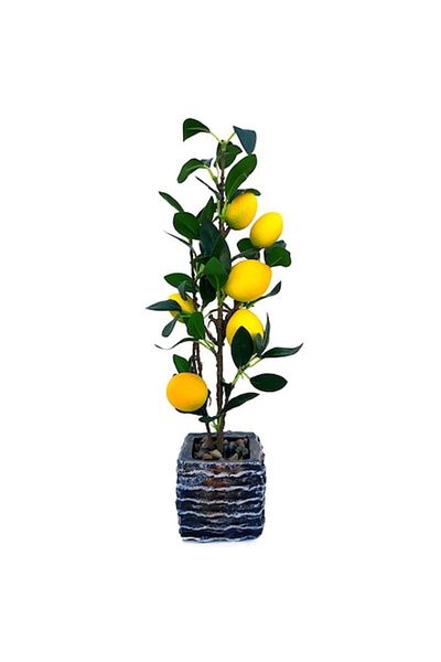 OEM Ceramic Flowerpot with Yellow Lemons, 10x42cm