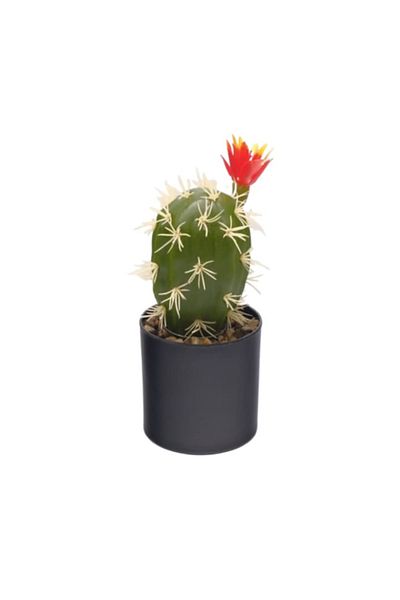 OEM Cactus în ghiveci, PVC/ceramică, 20x9x9 cm, verde M1
