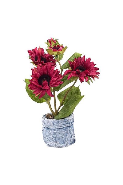 OEM Ghiveci cu crizanteme, 15x25 cm, ceramica si plastic, rosu-multicolor