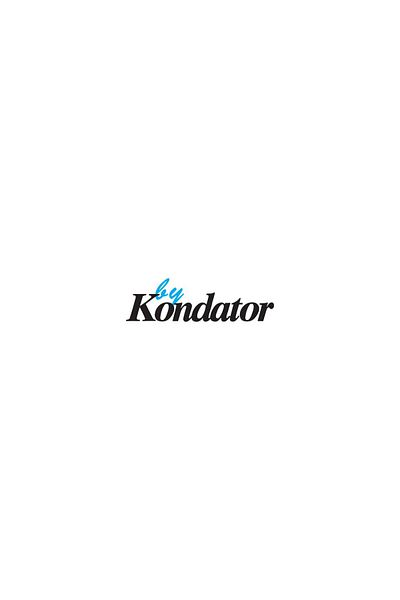 Kondator Tavă pentru 2 Powerdots, pentru capace de 300 mm, argintie, 935-TP02