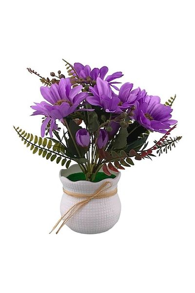 OEM Plastic Pot with Chrysanthemums, 17x25 cm, Purple-Multicolor