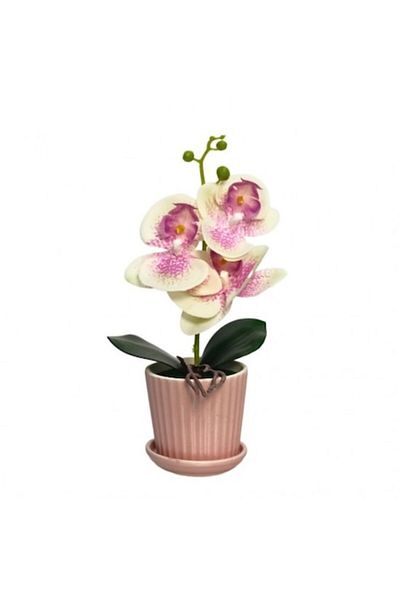 OEM Artificial Orchid in Pot, PVC/Ceramic, 34x10 cm Multicolor