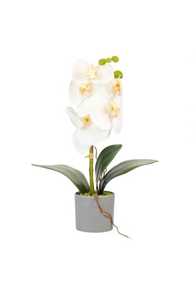 OEM Artificial Orchid in Pot 38x8x8 cm White