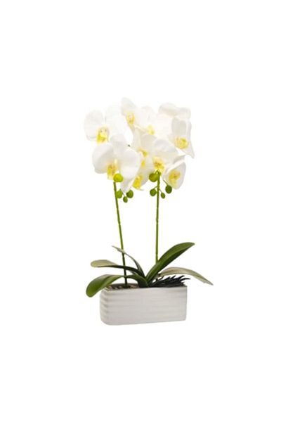 OEM Artificial Flower in Pot - Orchid with Two Stems, Ceramic 40x16x7.5 cm White