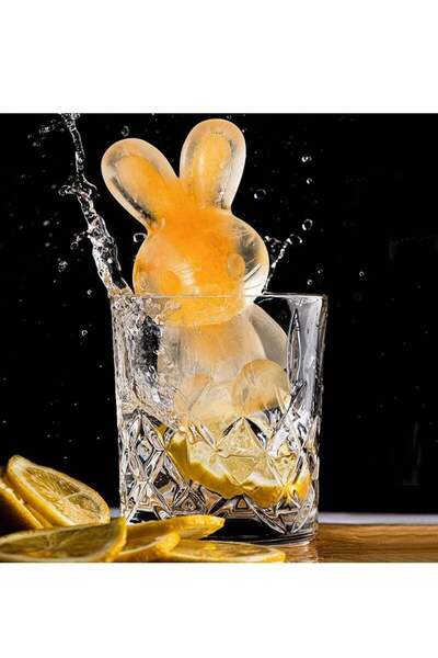 Arabest Ice Molds 3 Pack, Rabbit and bear shapes,Make Lovely 3D Drink Ice for Coffee, Juice