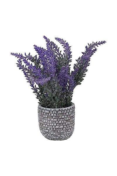 OEM Lemn de lavandă, 10x20 cm, violet-multicolor, ceramică și plastic, M2