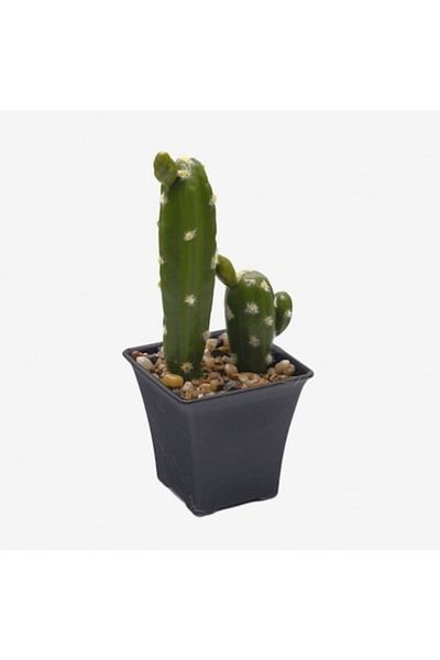 OEM Cactus in ghiveci, PVC/Ceramica, 20x9x9 cm, verde