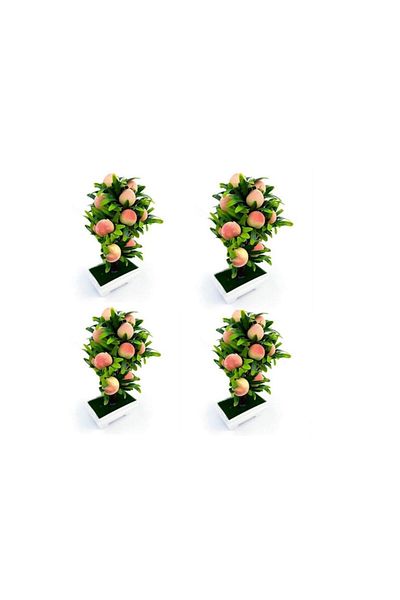 OEM Set 4 ghivece din plastic cu pomisor cu fructe, M1, 12x24 cm