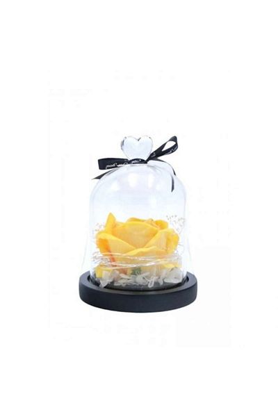 OEM Rose in Glass Dome with LED, Textile/PVC/Wood, Yellow, 18x12.5 cm