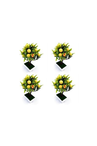 OEM Set 4 ghivece din plastic cu pomisor cu fructe, M4, 12x24 cm