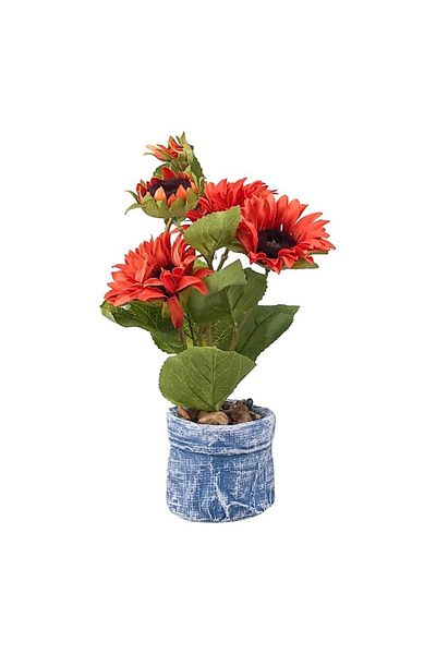 OEM Ghiveci cu crizanteme, 15x25 cm, ceramica si plastic, portocaliu intens-multicolor